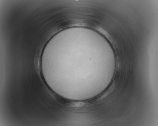 X0000088431282200706191227