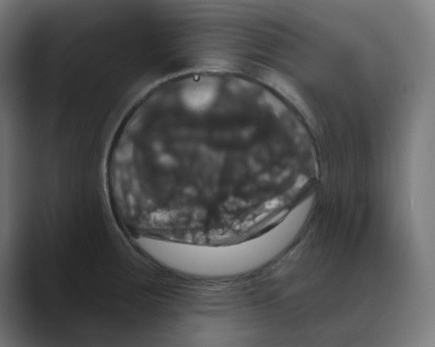 X0000088431283200706191227