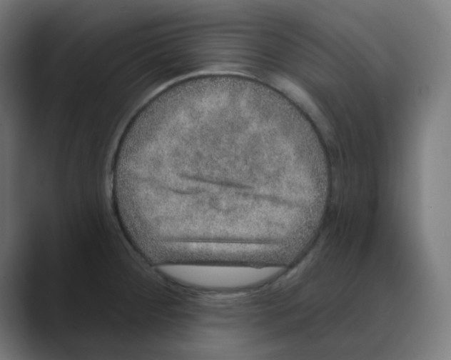 X0000088431284200706191227