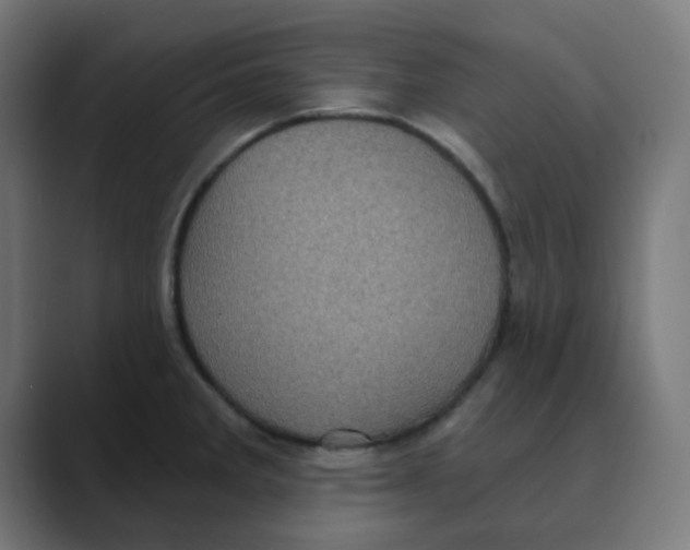 X0000088431285200706191227