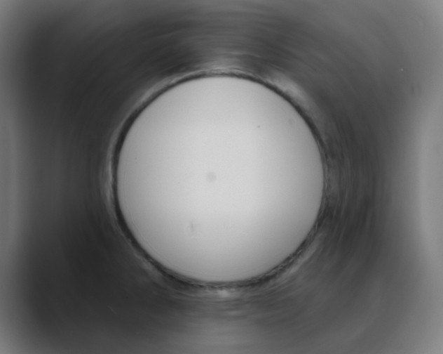 X0000088431286200706191227