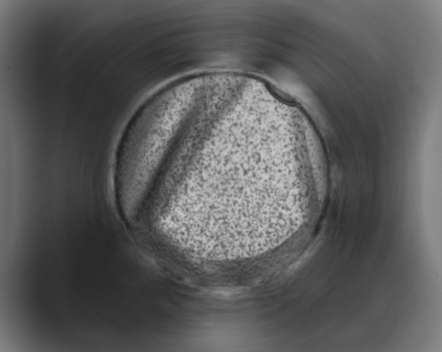 X0000088431288200706191227