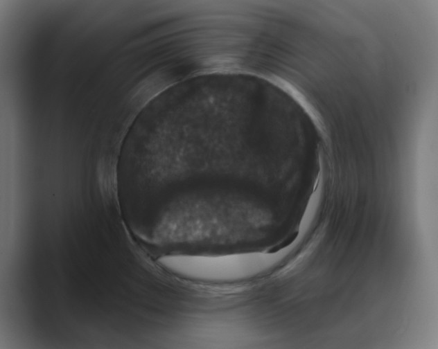 X0000088431289200706191227