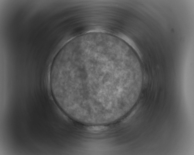 X0000088431290200706191227