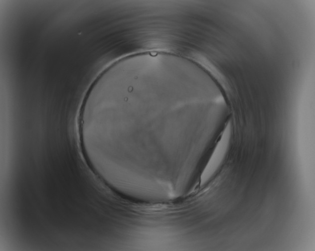 X0000088431291200706191227
