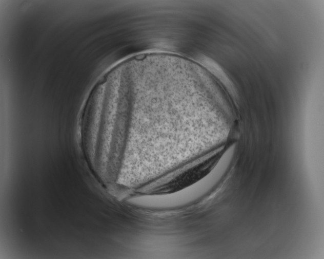 X0000088431292200706191227