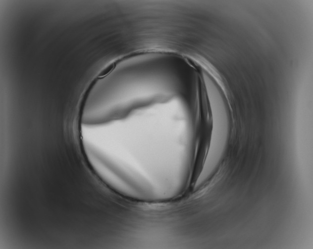 X0000088431293200706191227
