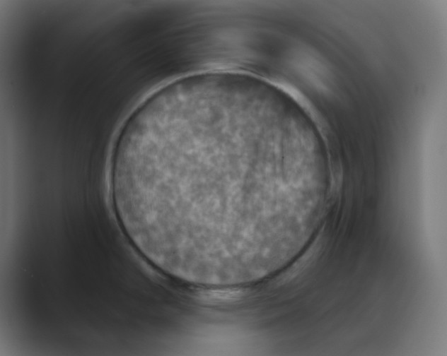 X0000088431294200706191227