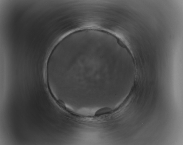 X0000088431295200706191227