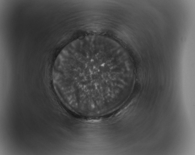 X0000088431297200706191227