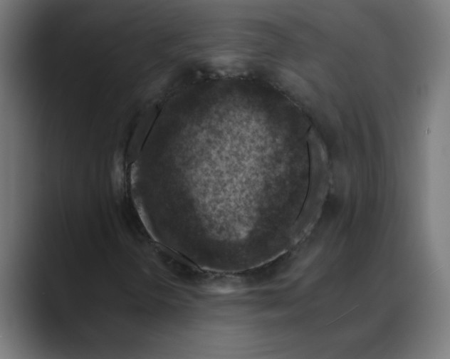 X0000088431298200706191227