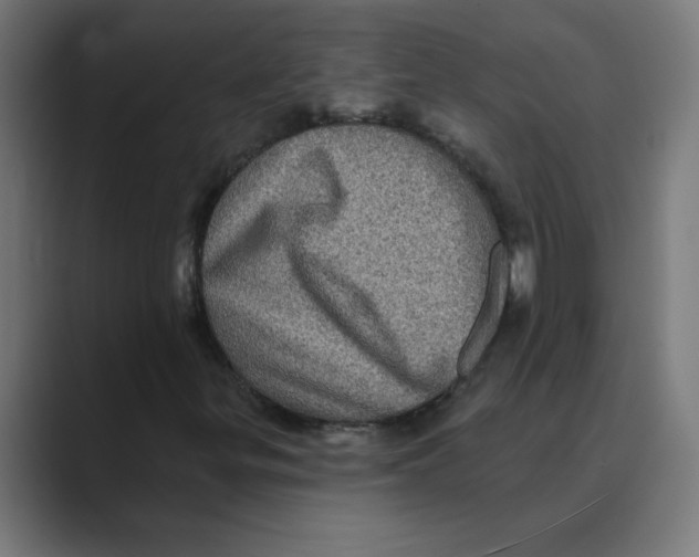 X0000088431299200706191227
