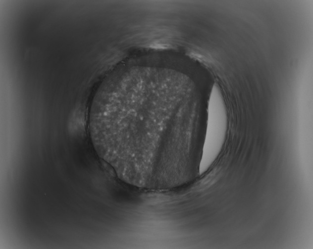 X0000088431300200706191227