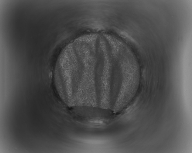 X0000088431302200706191227