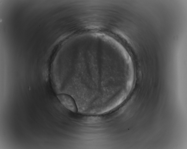 X0000088431306200706191227