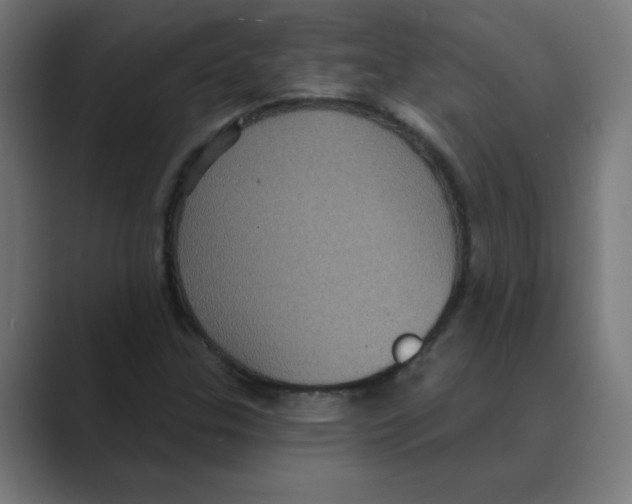X0000088431307200706191227