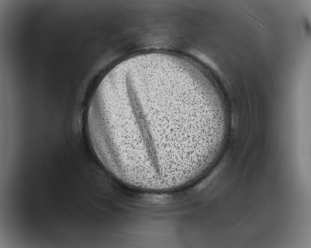 X0000088431309200706191227