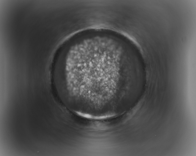 X0000088431311200706191227