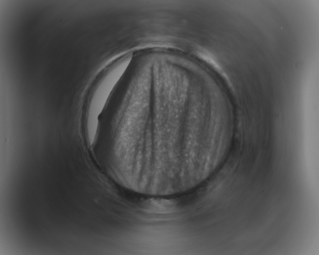 X0000088431312200706191227