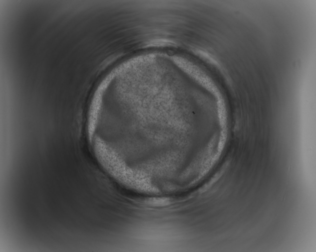 X0000088431313200706191227