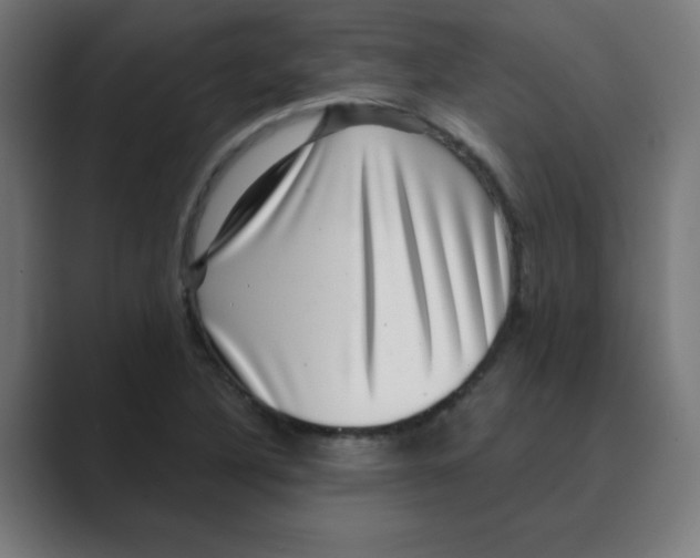 X0000088431316200706191227