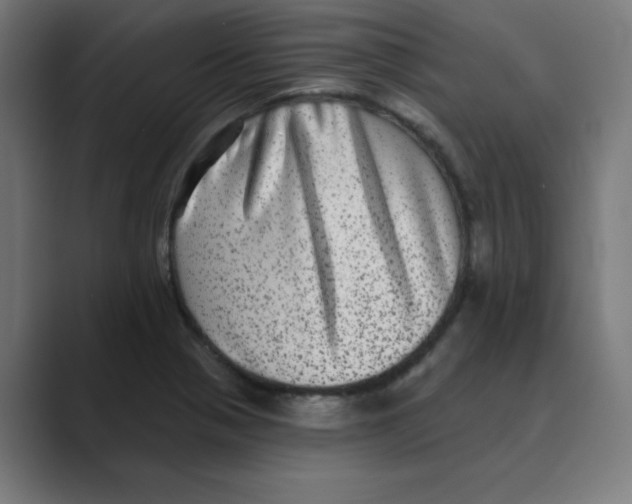 X0000088431321200706191227