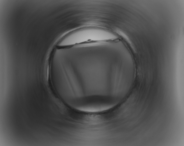 X0000088431323200706191227