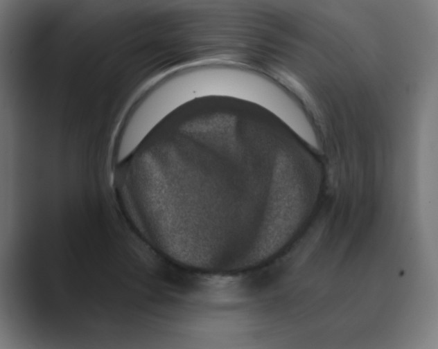 X0000088431324200706191227