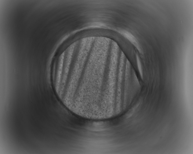 X0000088431326200706191227