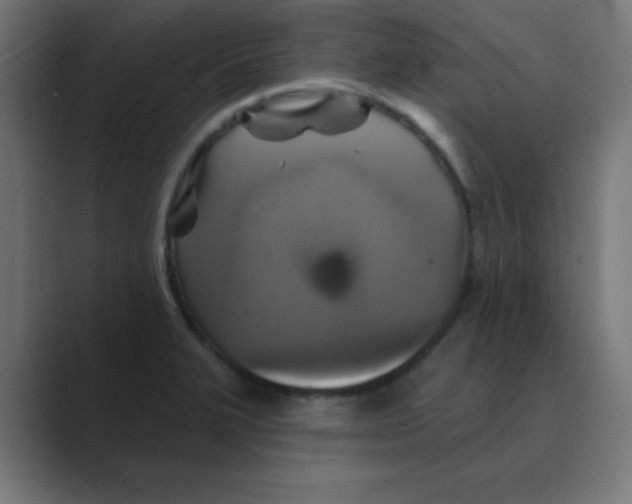 X0000088431327200706191227