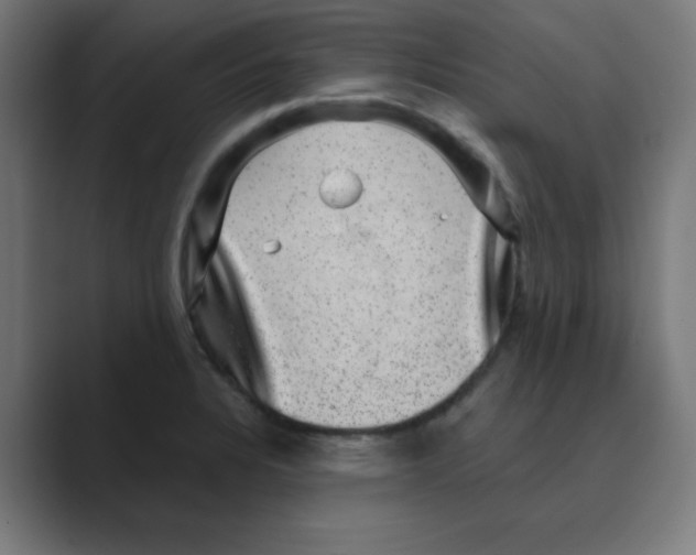 X0000088431328200706191227