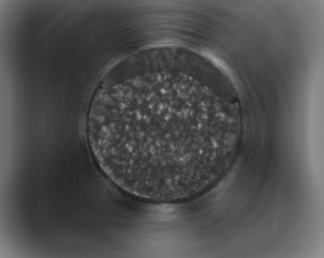 X0000088431329200706191227