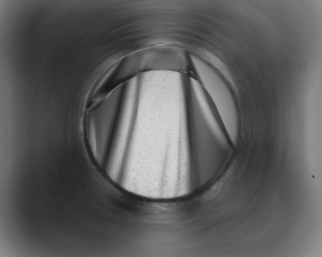 X0000088431330200706191227