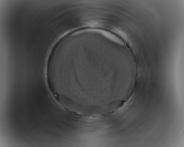 X0000088431331200706191227