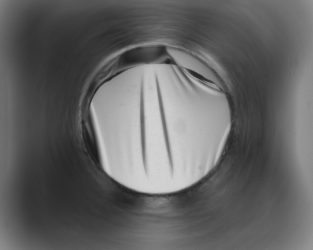 X0000088431332200706191227