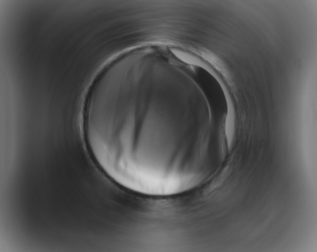 X0000088431334200706191227