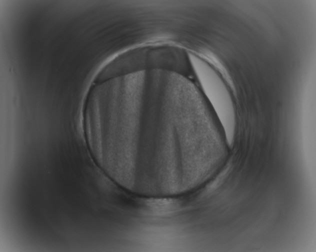 X0000088431336200706191227