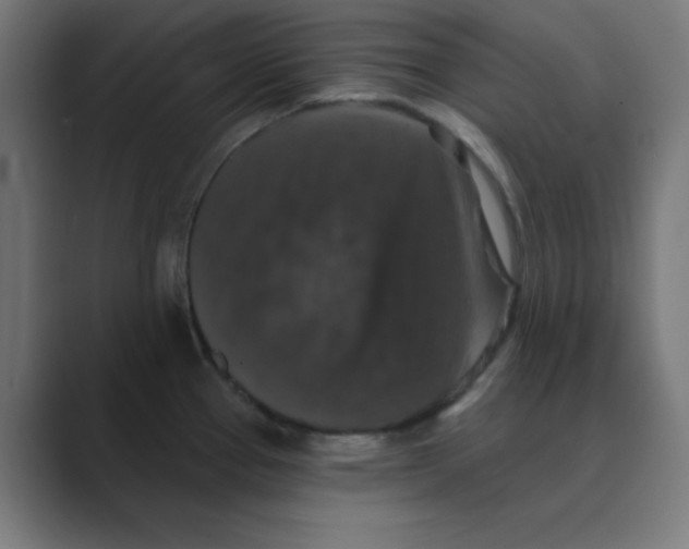 X0000088431337200706191227