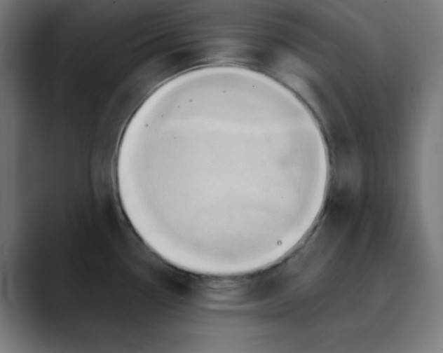 X0000088431338200706191227
