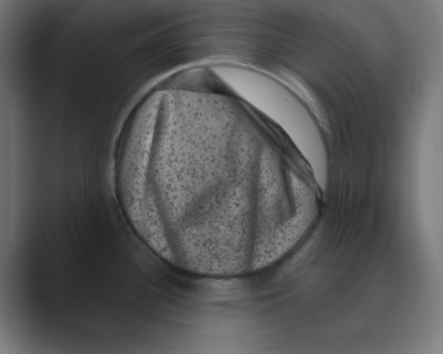 X0000088431340200706191227