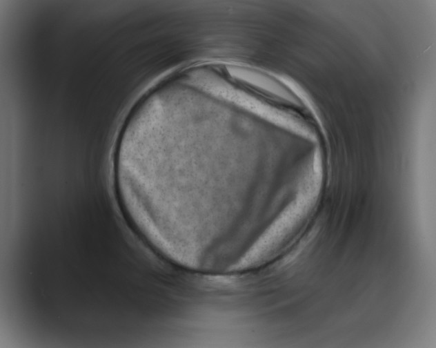 X0000088431341200706191227