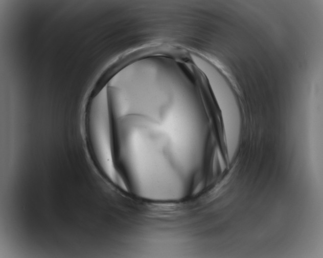 X0000088431342200706191227