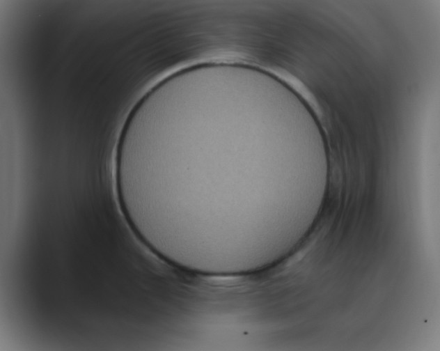 X0000088431343200706191227