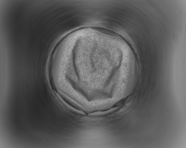 X0000088431344200706191227