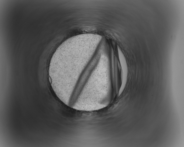 X0000088431345200706191227