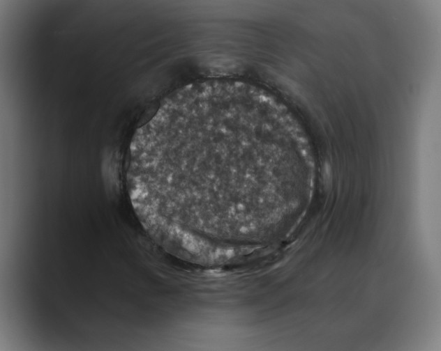 X0000088431346200706191227
