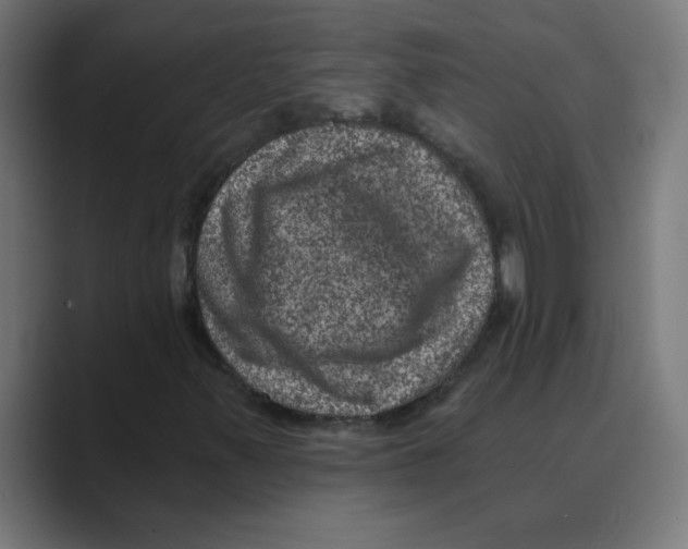 X0000088431347200706191227