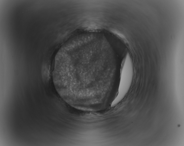 X0000088431348200706191227