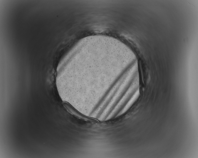 X0000088431349200706191227