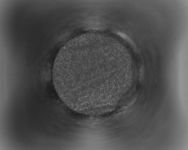 X0000088431350200706191226